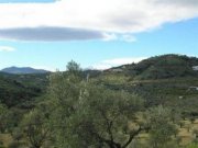 Coin Kleine Finca mit Oliven- und Orangenbäumen Haus kaufen