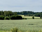Auhagen Baugrundstück mit vielen Möglichkeiten Grundstück kaufen