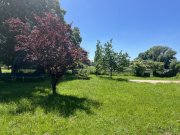 Auhagen ***Küss mich wach! Charmanter Resthof mit Stallungen und Weideland sucht Liebhaber*** Haus kaufen