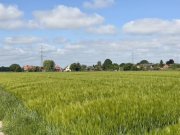 Lindhorst Die ehemalige Ziegelei - eine Kapitalanlage mit top Rendite Gewerbe kaufen