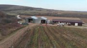 Sat Dud Weingut in Arad mit 115 ha zu verkaufen - 13136 Gewerbe kaufen