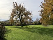 Auetal individuelles Wohnhaus mit unverbautem Fernblick Haus kaufen