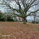 Bünde Einfamilienhaus *** renovierungsbedürftig, auf einem grißen Grundstück Haus kaufen