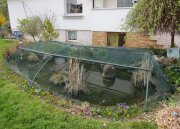 Edertal Hemfurth Leben, Arbeiten, Wohnen am Edersee; im Nationalpark Kellerwald - mitten in der Natur aber dennoch zentral: Haus kaufen