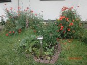 Gladenbach ++ KRAG Immobilien ++ Gartenparadies mit viel Grün – Haus für Tierliebhaber und Naturfreunde ++ Haus kaufen