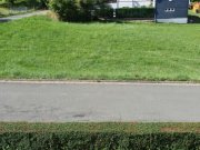Steffenberg Baugrundstück, voll erschlossen für den Neubau eines Einfamilienhauses Grundstück kaufen