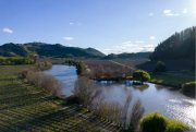Yerbas Buenas Traumhaftes Weingut mit 343 ha in Maule, Chile Gewerbe kaufen