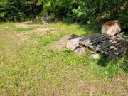 Walkenried Ebenerdiges Grundstück, ideal geeignet als Lagerplatz für Holz - Mietkauf möglich - Grundstück kaufen