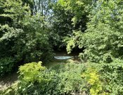 Golmbach ökologisches Naturhaus für Menschen mit bewusstem Lebensstil Haus kaufen