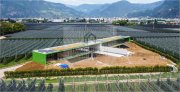 Bozen Designer Villa mit Garten und Pool in Bozen, Südtirol zu verkaufen Haus kaufen