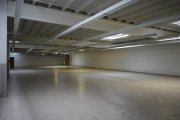 Genthin Teilvermietetes Gewerbezentrrum zu verkaufen - ehemaliges Einkaufszentrum Gewerbe kaufen