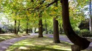 Mönchengladbach Attraktive Kapitalanlage in Mönchengladbach - Hockstein! Wohnung kaufen