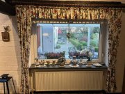 Schwalmtal Sanierter Fachwerktraum mit Einliegerwohnung und großem Garten in Schwalmtal Haus kaufen