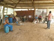 Ponta da Tulha Auswandern nach Bahia – Farmparadies nahe Ilhéus mit 140 ha Haus kaufen