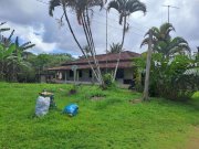Ponta da Tulha Auswandern nach Bahia – Farmparadies nahe Ilhéus mit 140 ha Haus kaufen
