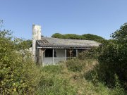 Emmerich am Rhein Sanierungsbedürftiger Bauernhof mit Nebengebäuden im Außenbereich von Emmerich-Elten Haus kaufen