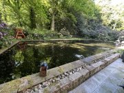 Duisburg Bel Etage in exklusiver Denkmalimmobilie * Parkareal * Duisburger Stadwald * Privatsphäre pur Wohnung kaufen