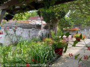 Kalkar Kalkar: Denkmalgeschütztes Wohnhaus mit großzügigem Raumangebot - vermietet Haus kaufen