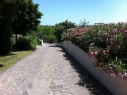 Comune di Coriano edle Villa mit grossem Garten 10'000m2 Haus kaufen