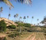 Barra do Itariri Strandgrundstück Barra do Itariri 40.000 m² - 12029 Grundstück kaufen