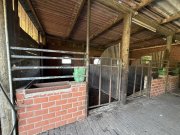 Nordhorn Resthof - 2 Wohneinheiten mit Nebengebäuden - Pferdehaltung möglich. Haus kaufen