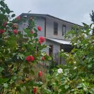 Loncoche 2 Naturgrundstücke mit Häusern und Wasserläufen in Südchile Haus kaufen