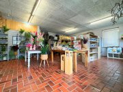 Emlichheim Attraktive Verkaufsfläche im Zentrum von Emlichheim Gewerbe kaufen