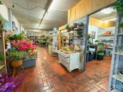 Emlichheim Attraktive Verkaufsfläche im Zentrum von Emlichheim Gewerbe kaufen