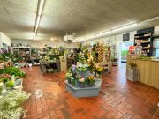 Emlichheim Attraktive Verkaufsfläche im Zentrum von Emlichheim Gewerbe kaufen