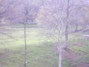 Viskovo Haus Viskovo, 186 m2 Haus kaufen