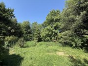 Simmerath Großzügiges Wohnhaus mit ELW und schönem Grundstück in ruhiger Lage von Lammersdorf Haus kaufen