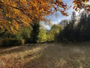 Roetgen Attraktives Baugrundstück in bester Lage von Roetgen – ca. 780 m² mit schöner Aussicht ins Grüne Grundstück kaufen