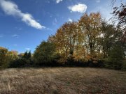 Roetgen Baugrundstück in Roetgen: ca. 1560 m² mit schöner Aussicht ins Grüne Grundstück kaufen