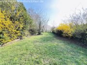 Merzenich Einfamilienhaus mit großem Garten, Terrasse & Garage in zukünftiger See-Lage zu verkaufen! Haus kaufen