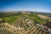 Siena In Toscana, presigiosa azienda vitivinicola - resort con spa, centro benessere, vigneto Gewerbe kaufen