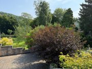 Bonn BONN OBERKASSEL freist. Einfam. Haus mit ca. 200 m² Wfl., 841 m² GrSt. Keller, Garage, Baugrundstück Haus kaufen