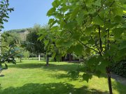 Bonn BONN OBERKASSEL freist. Einfam. Haus mit ca. 200 m² Wfl., 841 m² GrSt. Keller, Garage, Baugrundstück Haus kaufen