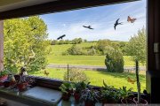 Bodenbach (Landkreis Vulkaneifel) Viel Platz im Nebengebäude - Großer Garten - Eifel-Einfamilienhaus mit Einliegerwohnung in Bodenbach Haus kaufen