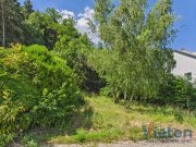 Mechernich Bauland mit eigenem Wald – ein Grundstück mit besonderem Charakter Grundstück kaufen