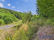 Mechernich Bauland mit eigenem Wald – ein Grundstück mit besonderem Charakter Grundstück kaufen