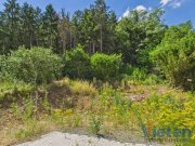 Mechernich Bauland mit eigenem Wald – ein Grundstück mit besonderem Charakter Grundstück kaufen