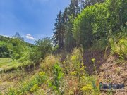 Mechernich Bauland mit eigenem Wald – ein Grundstück mit besonderem Charakter Grundstück kaufen