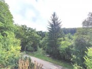 Schleiden ++ EXKLUSIVES EINFAMILIENHAUS + SONNENTERRASSE + GARTEN IN TRAUMLAGE!! ++ Haus kaufen