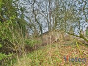 Schleiden Traumhafter Talblick - großes Hanggrundstück mit Abrissobjekt, Wiesen- und Waldfläche in Scheuren Grundstück kaufen