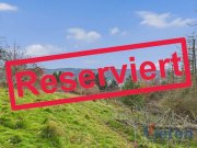 Schleiden Traumhafter Talblick - großes Hanggrundstück mit Abrissobjekt, Wiesen- und Waldfläche in Scheuren Grundstück kaufen