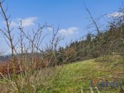 Schleiden Traumhafter Talblick - großes Hanggrundstück mit Abrissobjekt, Wiesen- und Waldfläche in Scheuren Grundstück kaufen