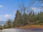 Schleiden Traumhafter Talblick - großes Hanggrundstück mit Abrissobjekt, Wiesen- und Waldfläche in Scheuren Grundstück kaufen