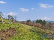 Schleiden Traumhafter Talblick - großes Hanggrundstück mit Abrissobjekt, Wiesen- und Waldfläche in Scheuren Grundstück kaufen
