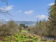 Schleiden Traumhafter Talblick - großes Hanggrundstück mit Abrissobjekt, Wiesen- und Waldfläche in Scheuren Grundstück kaufen