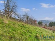 Schleiden Traumhafter Talblick - großes Hanggrundstück mit Abrissobjekt, Wiesen- und Waldfläche in Scheuren Grundstück kaufen